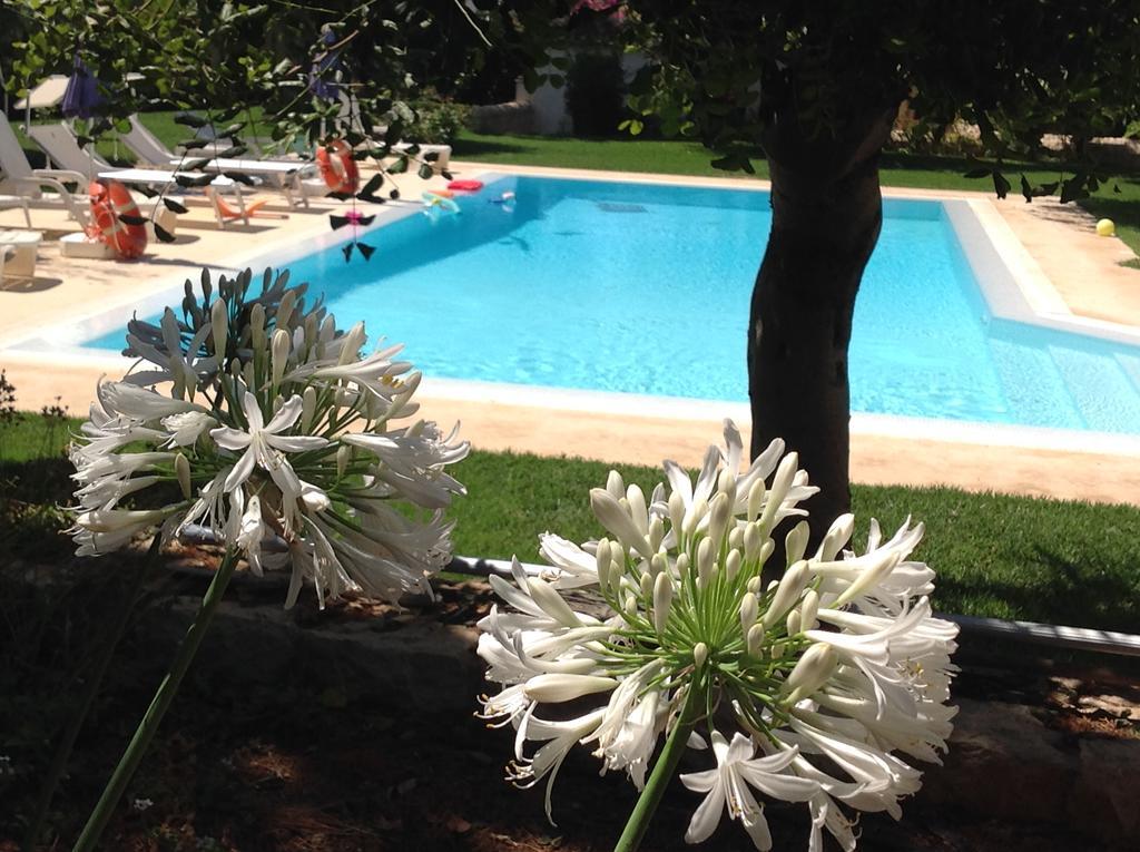 Il Giardino Dei Carrubi Villa ดอนนาลูกาตา ภายนอก รูปภาพ
